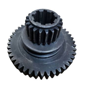 Spur Gear (5)