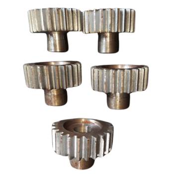 Spur Gear
